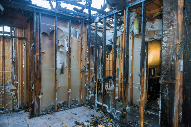 Professional Fire Damage Removal technician working in Zarephath, NJ