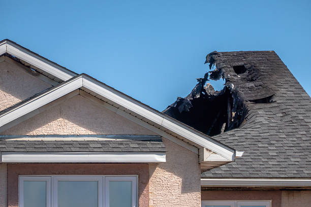 Top rated local Fire Damage Removal specialists in Zarephath, NJ